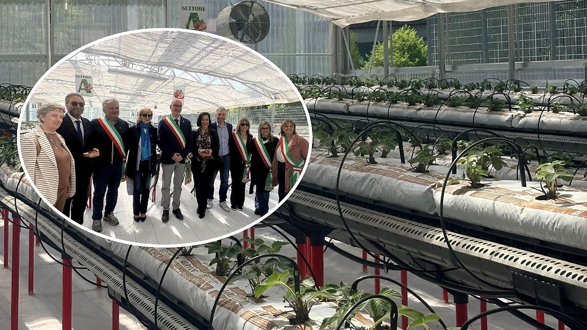 A Lanzo Torinese nasce la scuola del futuro: inaugurata la serra idroponica da 900mila euro