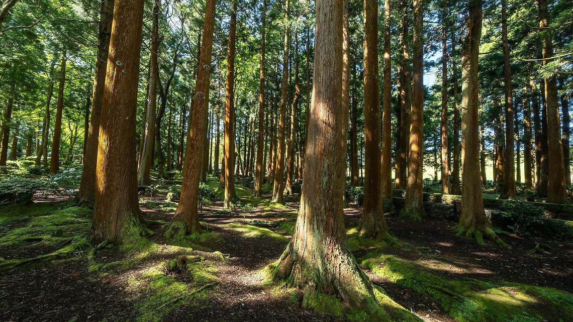 Dalle Valli di Lanzo 