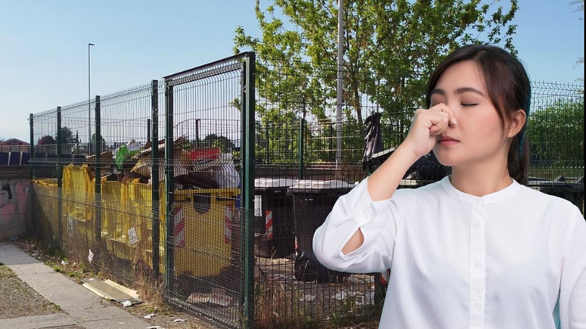 Isola ecologica invasa dai topi a San Mauro. I cittadini: &ldquo;Segnalazioni al Comune ignorate&rdquo;