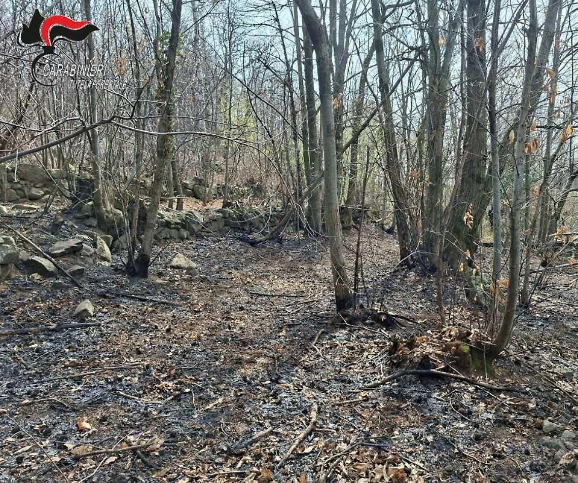 Incendio nel bosco a Cuorgn&egrave;