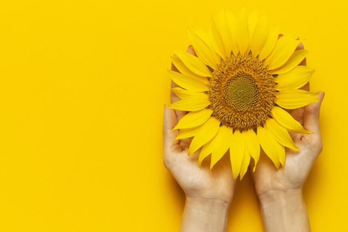 &ldquo;Endometriosi: servono pi&ugrave; consapevolezza, diagnosi precoci e formazione sanitaria. Siamo al fianco delle donne&rdquo;