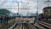 Video condiviso da Torino per Gaza su Instagram