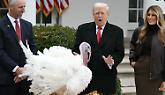 Trump grazia un tacchino nel Giorno del Ringraziamento e imita il suo gloglottio: il video è virale