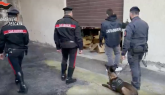 Traffico di droga ed esplosivi, maxi operazione &ldquo;Last Delivery&rdquo;: arresti e perquisizioni in tutta Italia