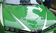 Carabinieri forestali scoprono scavo illegale