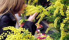 Mazz&egrave; celebra la Festa della Donna con musica, danza e cultura al Palaeventi