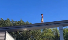 BOZZA VIDEO. Panico al parco divertimenti: bimbo sui binari della monorotaia a 30 metri d’altezza (VIDEO)