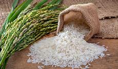 Rice Kids 
