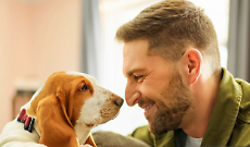 Cani e proprietari, due gocce d’acqua