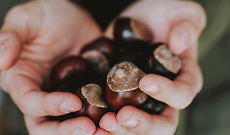 A Leini l’autunno unisce: castagne, comunità e attenzione agli anziani