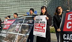 Bruxelles, la Commissione Ue