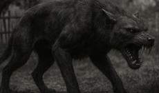 Paura nel Piemonte del ’31: la Bestia che nessuno riusciva a identificare