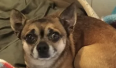 Da Cuorgn&egrave; a Caluso