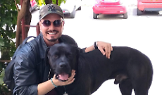 La rivincita di Renato e Nerone: &laquo;Qui non ci sono gabbie, solo famiglia&raquo;