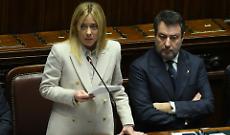 Meloni e Salvini