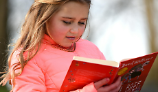 Il Mercatino Volpino accende la sostenibilit&agrave;: libri in scambio per crescere insieme