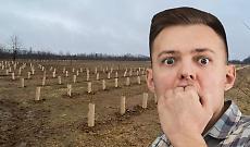 Alberi piantati nel posto sbagliato: a Montanaro scoppia il caso