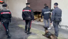 Traffico di droga ed esplosivi, maxi operazione &ldquo;Last Delivery&rdquo;: arresti e perquisizioni in tutta Italia
