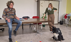 Il cane entra in corsia: a Ciri&egrave; la Pet Therapy diventa parte della cura