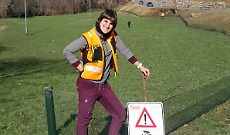 Rospi in marcia sotto la pioggia: scatta la corsa contro le stragi sull&rsquo;asfalto