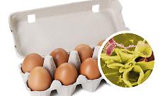 Uova a rischio salmonella