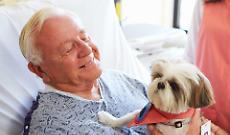 Cani e gatti contro la solitudine: la Lega porta la pet therapy in Consiglio