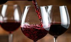 Barolo tiene, Barbera soffre