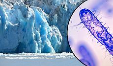 Dai ghiacci della Transilvania 