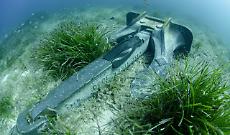 Il WWF lancia l&rsquo;allarme al Senato: senza regole sull&rsquo;ancoraggio il Mediterraneo rischia il collasso