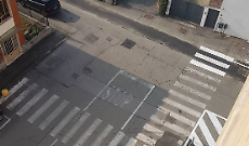 Area cani con sorpresa: separati sulla carta, uniti sotto la rete