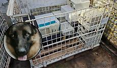 Torino, segnalazione