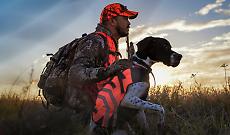 Animali &ldquo;uso e getta&rdquo;: la Regione prova a rinviare tutto al 2028, ma in Commissione scoppia la grana