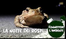 Rospi