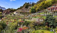 Vigneti piemontesi e cambiamento climatico, al Politecnico di Torino le nuove tecnologie per salvare la viticoltura