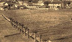 L&agrave; dove stagnava l&rsquo;acqua: la bonifica della palude di Settimo