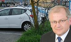 Settimo Torinese, la citt&agrave; dei "ceppi" e degli alberi morti