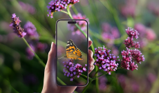 Fotografare la Natura