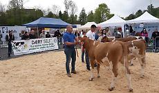 Fiera di San Giorgio