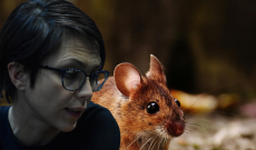 Invasione di topi davanti ad una scuola di Settimo Torinese. E' allarme in citt&agrave;