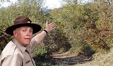 Bosco del Vaj, l&rsquo;Ente Parco replica alle proteste: &ldquo;Lavori necessari dopo l&rsquo;alluvione&rdquo;