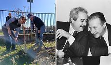 Un albero per Falcone e Borsellino davanti alla scuola: a San Mauro la legalit&agrave; mette radici