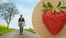 Dal Mulino Sambuy alla Festa delle Fragole: una camminata unisce territorio e solidariet&agrave;