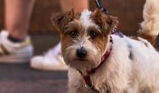 Salute &egrave;&hellip; Camminata Benefica: un passo insieme per il futuro.