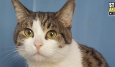 Chiusi in un garage al buio