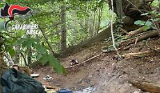 Spaccio nei boschi a due passi dalla citt&agrave;