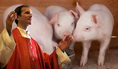 Dal Vangelo al macello: quando in diocesi spariscono pi&ugrave; capre che peccati