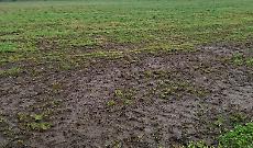 Sversamento illecito di reflui