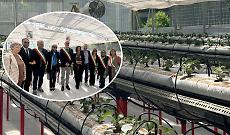 A Lanzo Torinese nasce la scuola del futuro: inaugurata la serra idroponica da 900mila euro