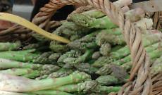 Santena, la Sagra dell&rsquo;Asparago