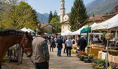 Prarostino celebra la primavera